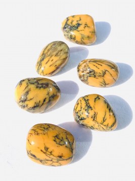 ts dendrile opal6